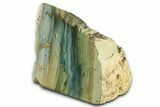 Free-Standing, Gary Green Jasper (Larsonite) Bog Wood - Oregon #334731-2